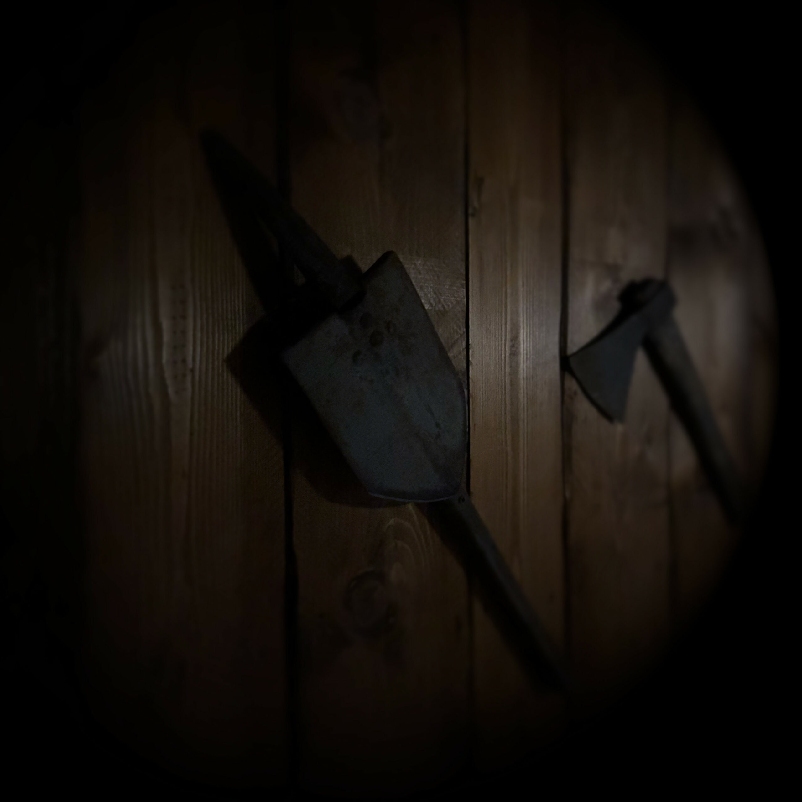 Prenotazione Escape Room Horror The Village